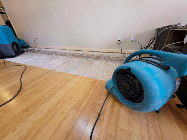 Professional Structural Drying technician working in Monticello, IN